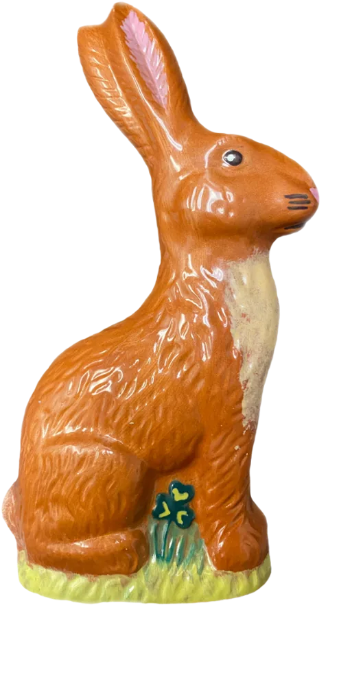 Lapin plein de pralin