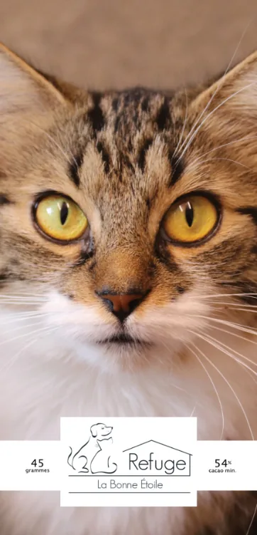 Refuge pour animaux